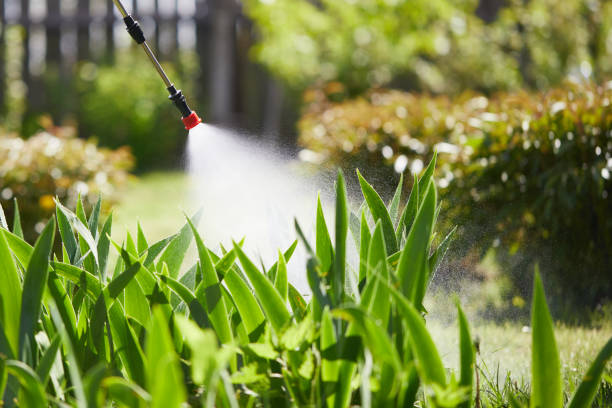 Tamper-Resistant Bait Stations for Rodents in Boscobel