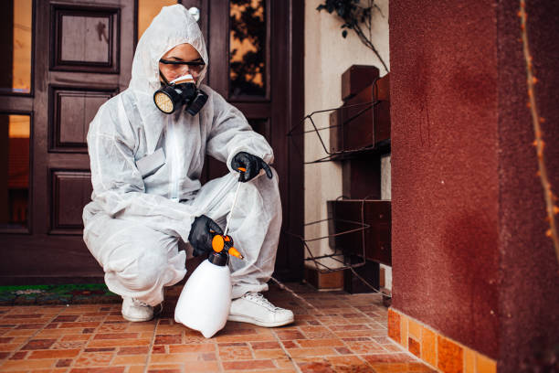 Attic and Crawl Space Rodent Treatment in Boscobel