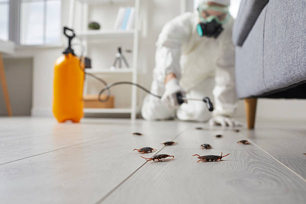 Commercial Rodent Management in Boscobel